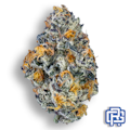 Koosh The Magic Dragon Flower