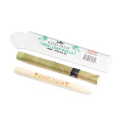 Natural Preroll Cones - Mini Size - 1pk