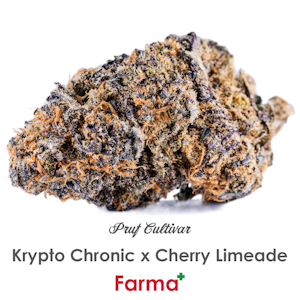 PRUF CULTIVAR - Pruf Cultivar Krypto Chronic x Cherry Limeade