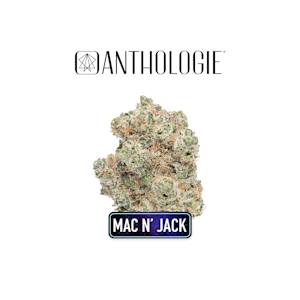 ANTHOLOGIE - Mac n Jack 3.5g