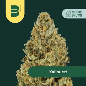 The Botanist - Kaliburst | Flower | 3.5g | Botanist