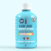 Kan+Ade - Tincture - Blueberry Pom 1000MG
