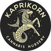 Kaprikorn | Cali Burger (Hybrid) Cured Resin Cartridge | 1 g