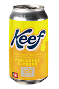 Pineapple X-Press, Soda, 12oz
