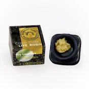Key Lime Tart 1g Live Rosin