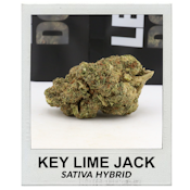 Key Lime Jack