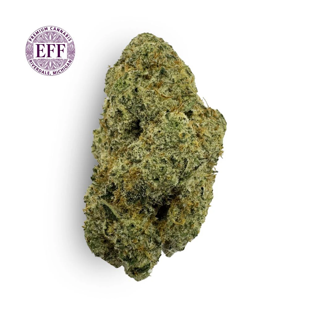 EFF! - Key Lime Pie Bulk Flower - EFF! (FIRE ISLAND) Main Image
