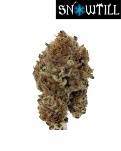 Snowtill - Keylime Slushie