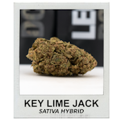 Key Lime Jack 