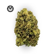 Jazz Hands Bulk Flower - GRASSHOPPER FARMS