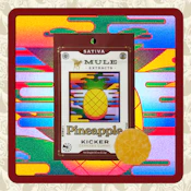 Mule | Gummy 2pc [S] | Pineapple Kicker 