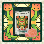 Strawberry Lemonade, 1:1:1:1 THC:CBD:CBN:CBG Gummy