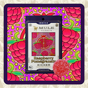 Raspberry Pomegranate Gummy