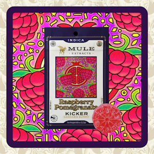 MULE EXTRACTS - Raspberry Pomegranate Gummy