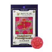 Raspberry Pomegranate Gummies 2pk 100mg
