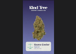 [REC] Kind Tree | Guava Cooler | 3.5g Flower