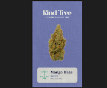 [REC] Kind Tree | Mango Haze | 7g Littles