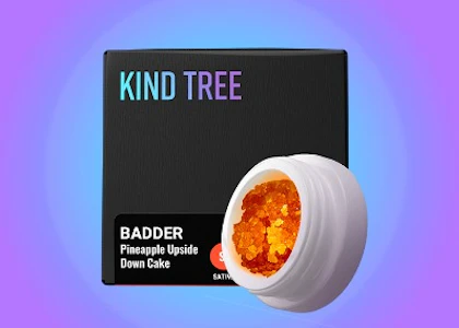 Kind Tree - [REC] Kind Tree | Platinum Peaches | 1g Live Resin Sugar
