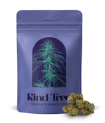 [REC] Kind Tree | White Iverson | 7g Flower