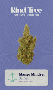 KIND TREE - [REC] Kind Tree | Mango Mindset | 14G Flower