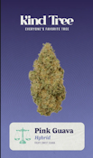 [REC] Kind Tree Littles | Pink Guava | 7g