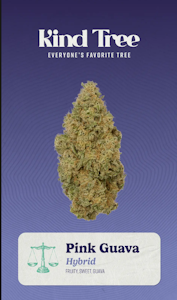 KIND TREE - [REC] Kind Tree Littles | Pink Guava | 7g