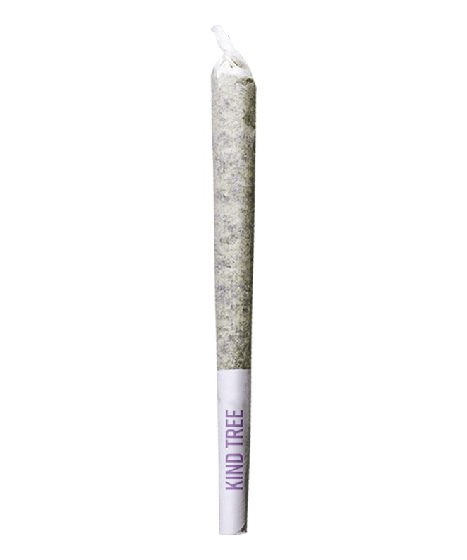 [REC] Kind Tree | Ice Cream Banger | 1g/2pk