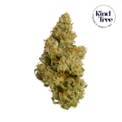 Kind Tree | Cherry Slushee | 3.5g
