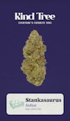 [REC] Kind Tree | Stankasaurus | 14g Flower