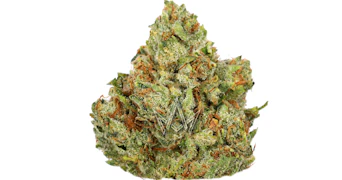 Originals - King Louie - 3.5g