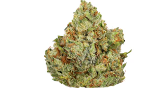 Originals - King Louie - 3.5g