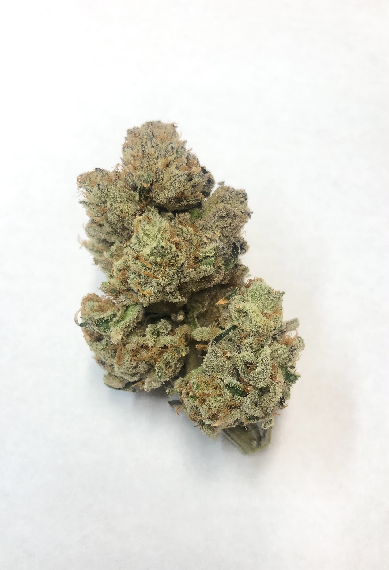 King's Juice 3.5 Gram Jar By Alt Sol - New Leaf Dispensar