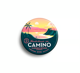 CAMINO - Watermelon Lemonade Gummy 20pk - 100mg