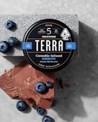 Kiva - Terra Blueberry Milk Chocolate Bites 100mg