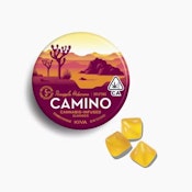 KIVA: Camino Pineapple Habanero "Uplifting" Gummies 20-Piece/100mg (S)