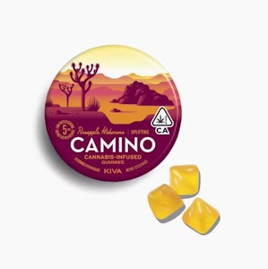 KIVA - KIVA: Camino Pineapple Habanero "Uplifting" Gummies 20-Piece/100mg (S)