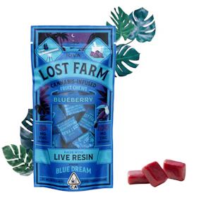 KIVA - Kiva Lost Farms Live Resin Chews Blueberry