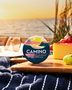 CAMINO - Camino Gummies - Watermelon Lemonade - 100mg