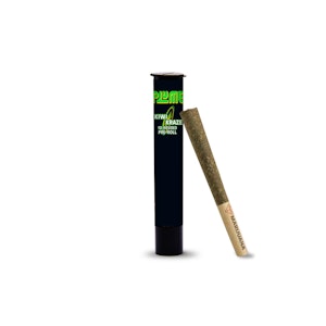 PLUME - PLUME - KIWI KRAZE INFUSED 1 GRAM PRE-ROLL