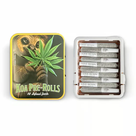 dompen™ & Koa - Koa Infused 10pk Prerolls 3.5g Runtz x Gelato Main Image