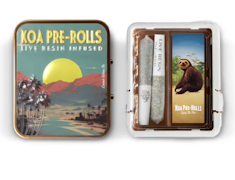 Koa Infused 2pk Prerolls .7g Apples & Bananas