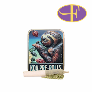 KOA - Kushlato x Black Runtz Live Resin Infused Pre-Roll Pack (10pk)
