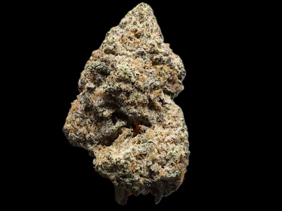 GOOD NATURE CANNABIS COMPANY - Kuda Kush- (Detroit Muscle x Lemon Cherry Gelato) Bulk Flower