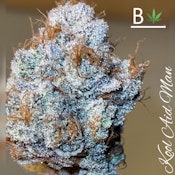 Kool-Aid Gelato