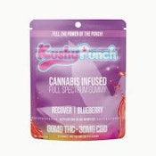 Kushy Punch Recover Blueberry Gummy