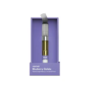 ASCND - BLUEBERRY GELATO 1G - KURVANA