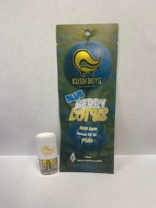 Kush Boyz - Kush Boyz - Blueberry Lotus - Vape POD - 1G