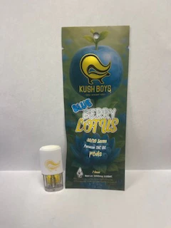 Kush Boyz - Kush Boyz - Blueberry Lotus - Vape POD - 1G Main Image