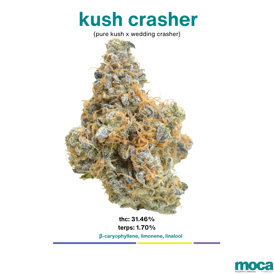 MOCA Flowers - MOCA Flowers - 1/2 oz Jar - Kush Crasher Main Image