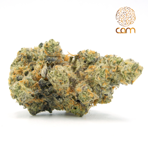 CAM - Kush Mints - Private Reserve - 3.5 (H) - CAM